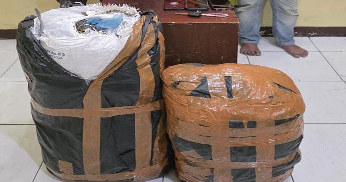 Ditresnarkoba Polda Sumut Gagalkan Peredaran 20 Kg Ganja Asal Aceh, Tiga Pelaku Diamankan di Medan