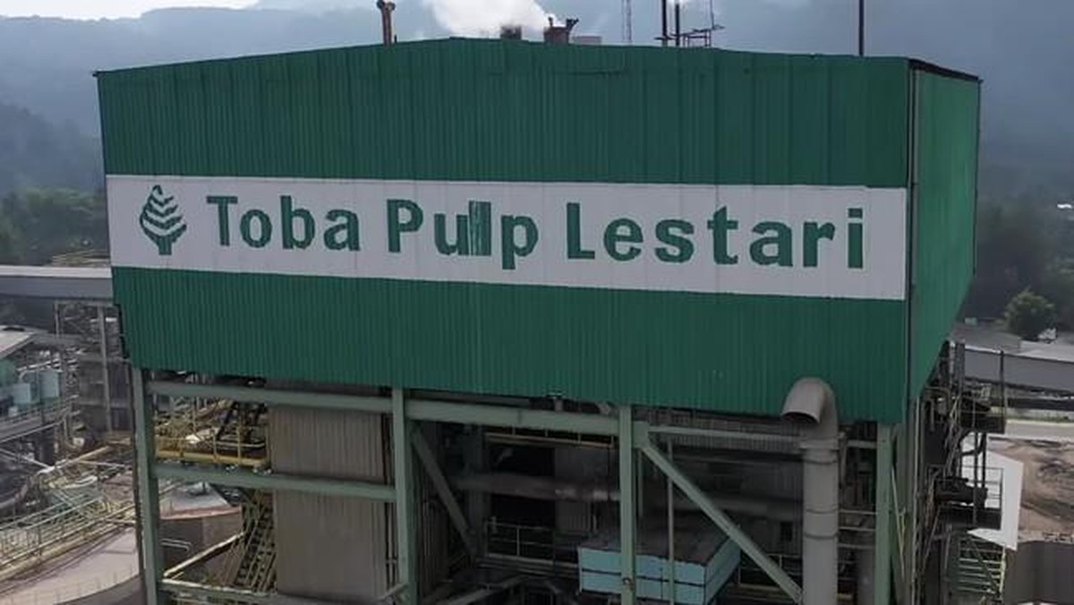 Nasib Ribuan Pekerja Terancam: Perubahan Status Izin Konsesi Mendorong PHK Massal di Toba Pulp Lestari