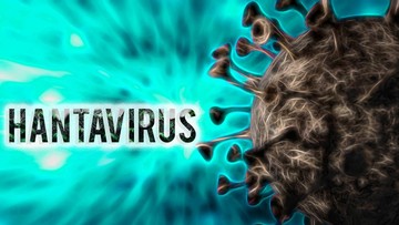 Tragedi Laut: Tiga Penumpang MV Hondius Meninggal Akibat Serangan Andes Hantavirus