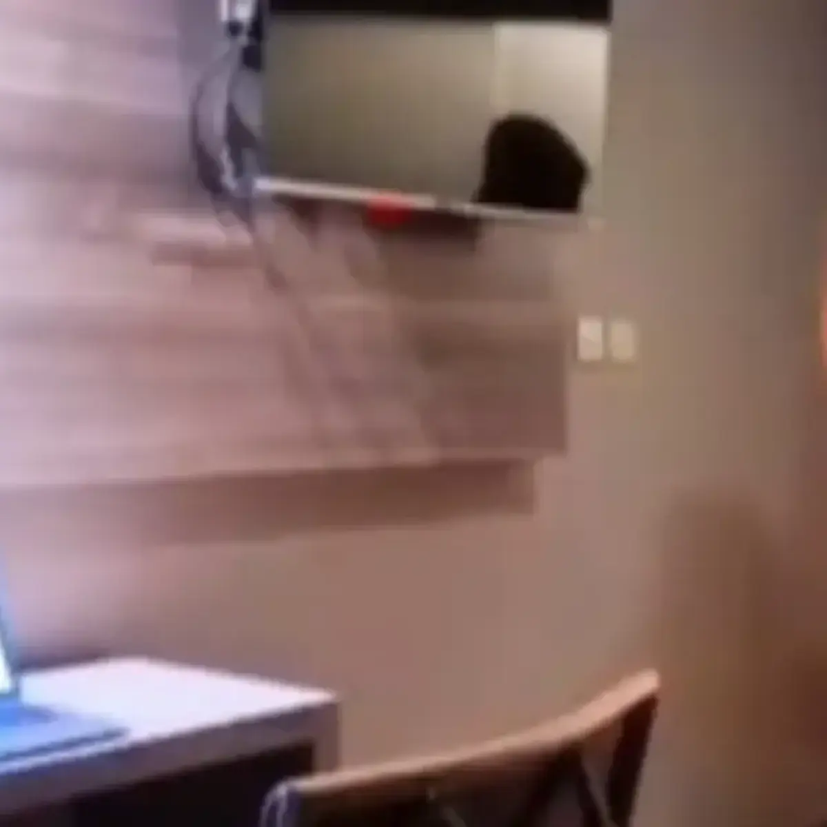 Ancaman Phishing di Balik Video Viral Guru Bahasa Inggris: Antara Fenomena Medsos dan Keamanan Data