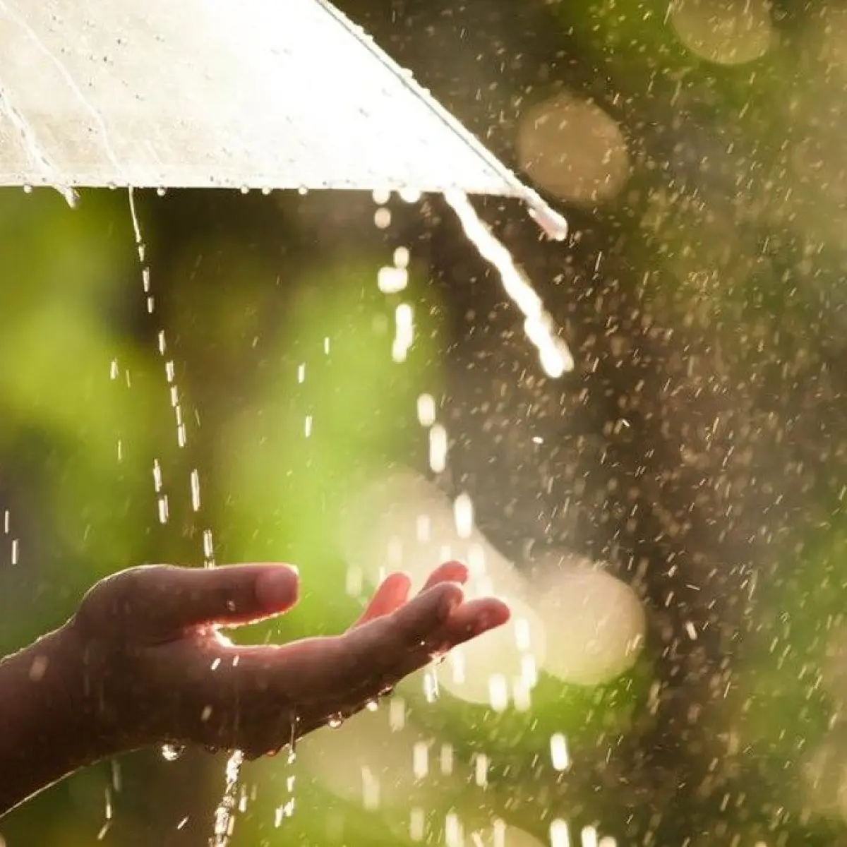 Waspada Potensi Bencana Hidrometeorologi, BMKG Rilis Prakiraan Cuaca Ekstrem di Sejumlah Wilayah Jawa Tengah