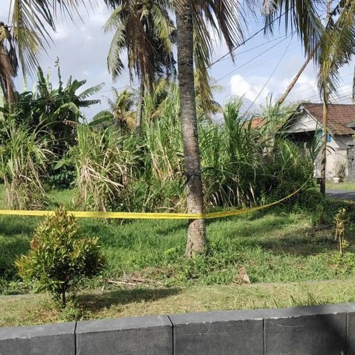 Sorotan Utama: Rekapitulasi Peristiwa Kunci yang Mengguncang Bali Sepekan Terakhir