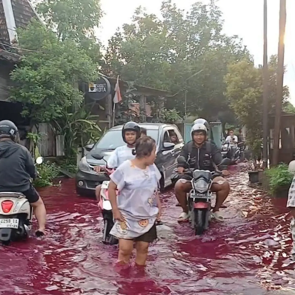 Jebolnya Tanggul Sungai Godo Picu Banjir Luas di Permukiman Warga Pati