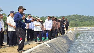 Ketua Komisi IV DPR RI Tinjau Langsung Panen Udang Vaname di Nusakambangan, Dorong Kemandirian Warga Binaan