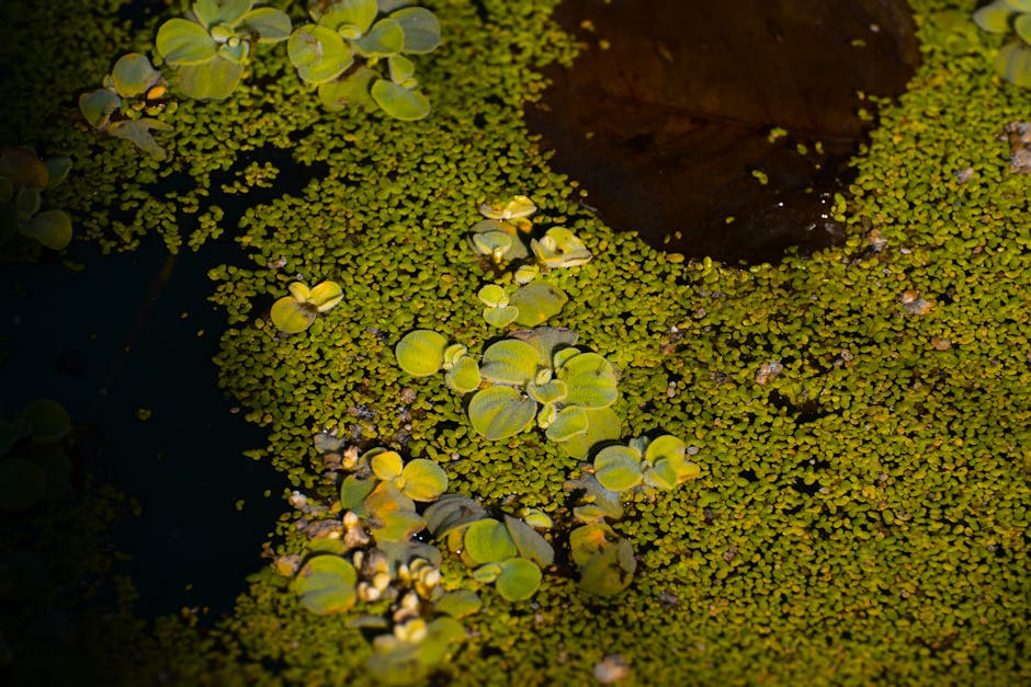 Kendali Mental: Strategi Efektif Atasi Gugup Saat Wawancara Kerja