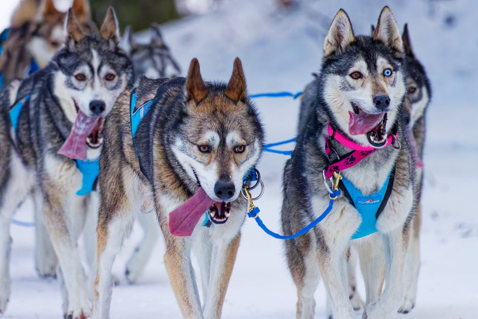 Merawat Warisan Leluhur: Strategi Jangka Panjang Desa Adat Indonesia